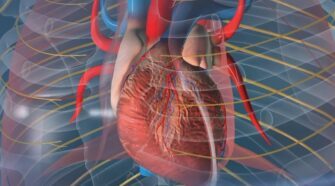 Comprendre le Rythme Cardiaque : Tout ce que vous devez savoir sur le Holter