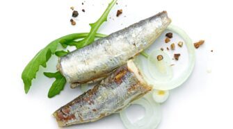 Peut-on consommer des sardines en boîte pendant la grossesse ?