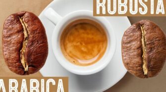 Café arabica ou robusta : lequel choisir pour votre santé ?