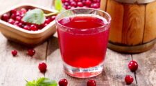 Peut-on consommer du jus de cranberry pendant la grossesse ?