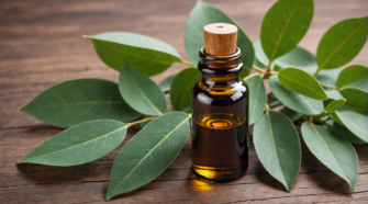 découvrez comment tirer le meilleur parti de l'huile essentielle d'eucalyptus radié pour soulager la toux grasse. conseils d'utilisation et précautions à prendre.