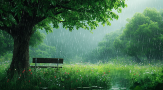 découvrez la signification de rêver d'une pluie légère. explorez les interprétations symboliques et psychologiques de ce rêve apaisant, ainsi que son impact sur vos émotions et votre bien-être.